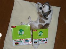 エアコンフィルター