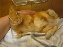 様子が変だ！