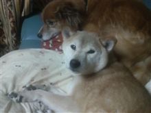 連休明けの夜勤だったから(爆)