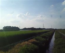 とある夏の日… とある夏の日…