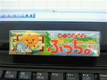 夏休みのおみやげ　パート２