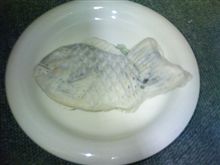 白いたい焼き 白いたい焼き