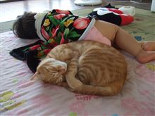 猫の優しさ??(・∀・)ニヤニヤ 猫の優しさ??(・∀・)ニヤニヤ