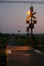 稲穂は高く夜は長く