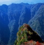 大台ケ原に行った理由 大台ケ原に行った理由