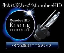 新しいHIDのカタチ「Monobee」シリーズで愛車に光りを纏え！