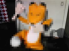 一段落？・・・