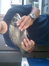魚釣り