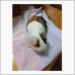 よく食べ、よく飲み、よく・・ ...