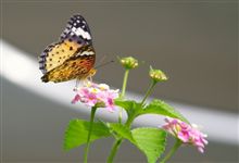 とりあえず、週末…