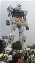 念願の