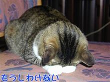 お出かけします(^-^)/