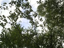 栃木の山の中で…