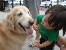 fuuちゃんとイリュｗ