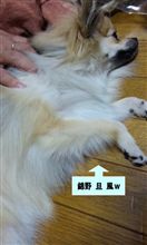 検査