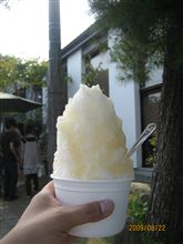おいしっかった