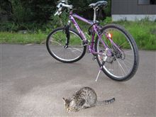 ちょっと