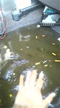 水没車、被害甚大
