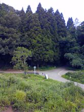 さて…