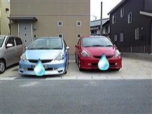 お出かけ…だけど(￣▽￣;)