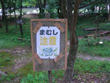 山奥で 山奥で