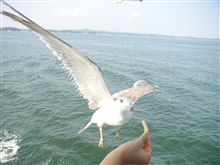 夏休み　1500キロの東北旅行　2009/8/17 