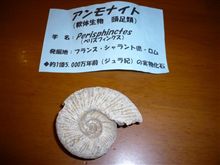 化石