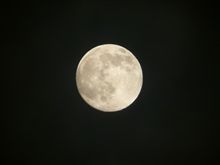 秋が近づいてきてる。