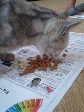 また始まった一週間～おはです！