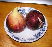 いちじく＾＾♪