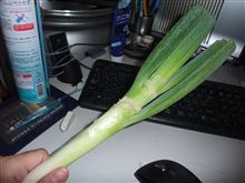 ねぎ