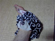 十数年ぶりにやられた・・・・・