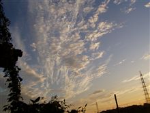 女心と秋の空～♪