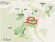 今度の土曜日は？