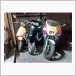 週末はお出かけ予定