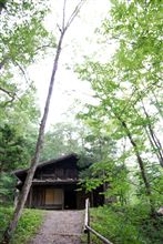 「いわゆる、電撃復帰？」