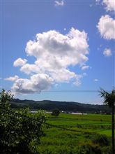 天気がいいです(^υ^)