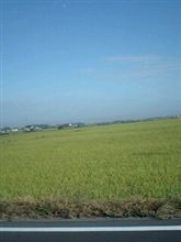 なんだかダルダルな朝～おはです！