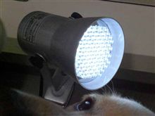 ＬＥＤクリップ式ライト