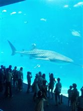 今日は海の日(^O^)/
