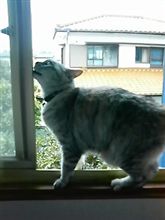 ニックネーム