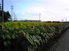 通学路