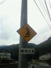 動物注意
