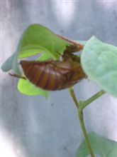 何事にも 例外は ある