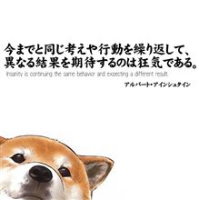 土曜日です。