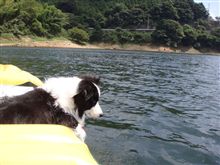ワンコとカヤック遊び