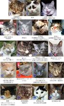 ビックリする事。