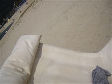 Sat    海