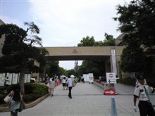 １人で…