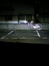 こんな感じです。
